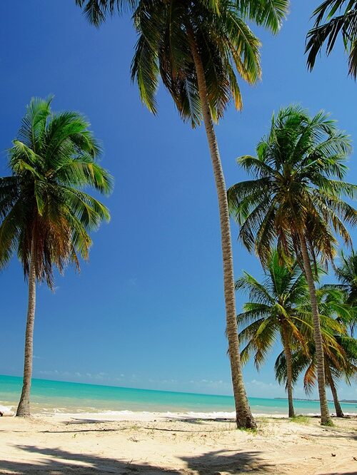 praias-de-maceió